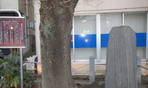 なんじゃもんじゃと石碑のセット