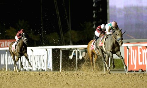 ドバイワールドカップ