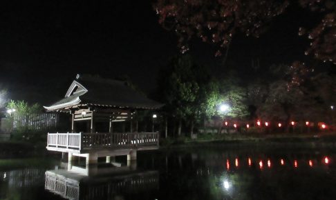 上沼公園の夜桜