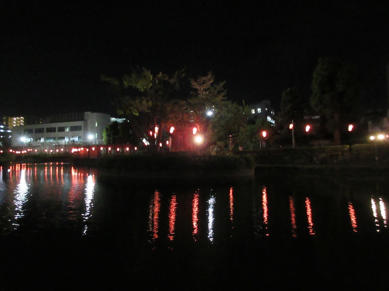 下沼公園の夜桜11