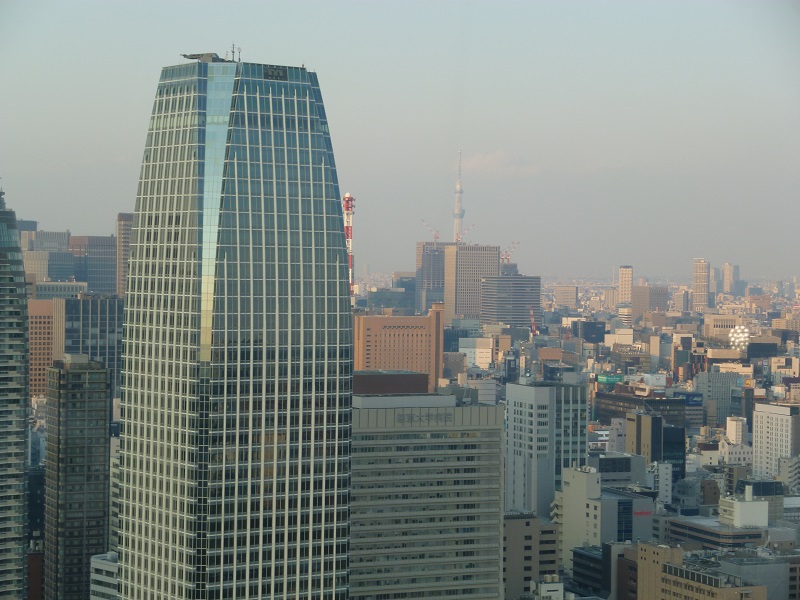 東京タワーから見た画像2