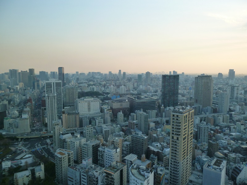 東京タワーから見た画像4