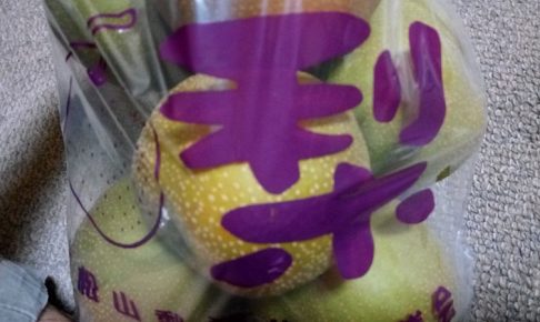 梨っ子農園で購入をした梨