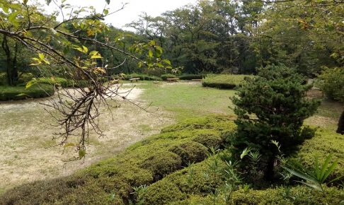 物見山の頂上、別アングル