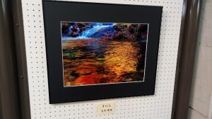 第41回、東松山美協展（なんか凄かった大木さんの写真）