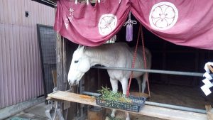 先頭を歩いていた馬