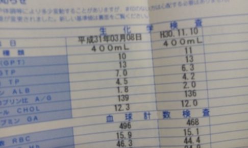 献血すると後日届く通知書