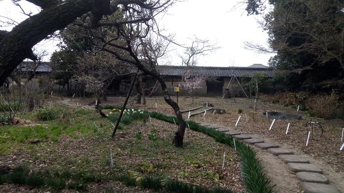 長島記念館の庭園の風景