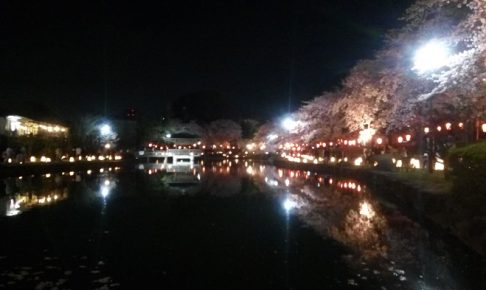 東松山夢灯路（上沼公園2）
