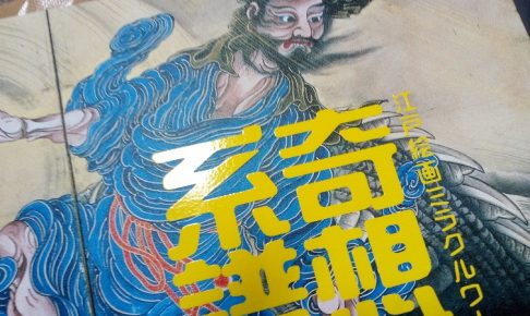 当選した奇想の系譜展覧の図録