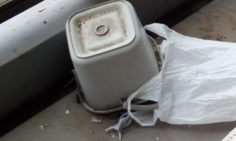 便利屋のモリクマさんに鳥の巣を撤去してもらった話