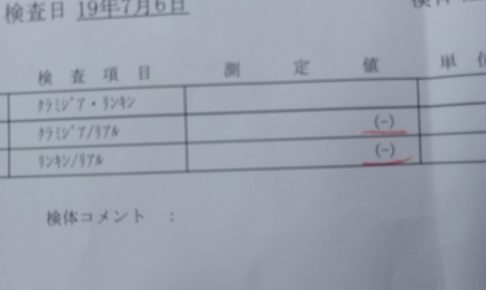 クラミジアと淋病の検査結果